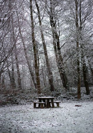 Téléchargez les photos : Un plan vertical de banc en bois et une table dans une forêt couverte de neige au Pays de Galles, Royaume-Uni - en image libre de droit