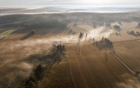 Téléchargez les photos : Une vue aérienne des grands paysages avec forêts de sapins et champs de blé par une journée brumeuse - en image libre de droit