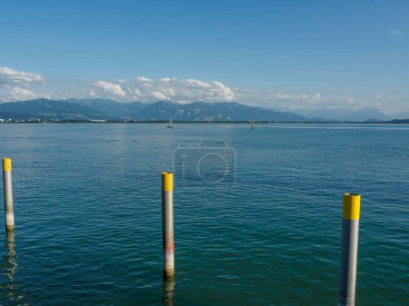 Photo for A beautiful shot of water lever scales in water - Royalty Free Image