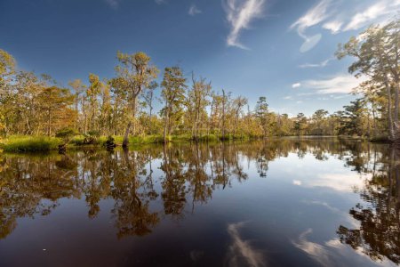 Téléchargez les photos : Une vue fascinante sur le lac de jour à la Nouvelle-Orléans, Louisiane - en image libre de droit