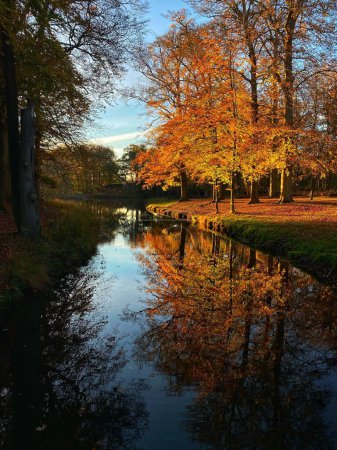 Téléchargez les photos : Plan vertical d'une rivière dans un parc couvert d'arbres jaunis en automne à Amsterdam, aux Pays-Bas - en image libre de droit