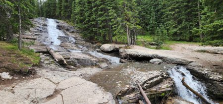 Téléchargez les photos : La chute d'eau étroite qui coule sur les rochers à Ouray, Colorado entouré de sapins - en image libre de droit