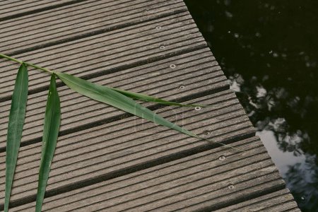 Foto de Una toma de ángulo alto de un muelle de madera sobre un lago - Imagen libre de derechos