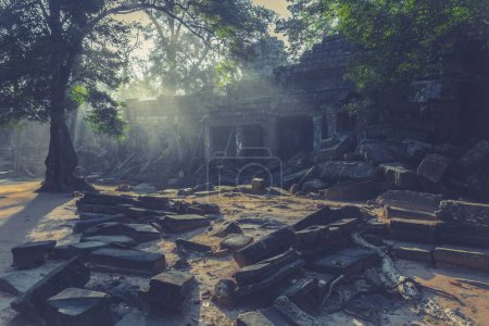 Foto de Un hermoso plano de las ruinas en el complejo de templos Angkor Wat en Camboya - Imagen libre de derechos