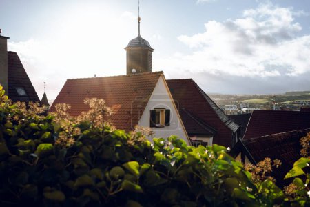 Foto de Casas alemanas detrás de plantas contra el cielo azul nublado en la ciudad de Herrenberg - Imagen libre de derechos