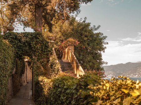 Téléchargez les photos : Un bel escalier et une étroite allée entourée de vignes avec la mer et une ville en arrière-plan - en image libre de droit