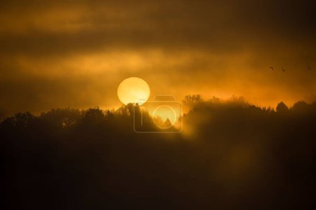 Téléchargez les photos : Une belle vue coucher de soleil derrière les arbres par une journée brumeuse - en image libre de droit