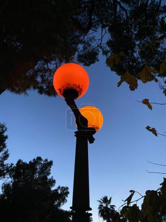 Photo for A vertical shot of a lit street lamp against a sky and silhouettes of leaves. - Royalty Free Image