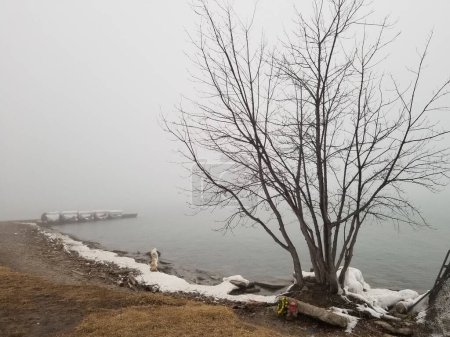 Foto de Una hermosa vista de un lago en un clima de invierno brumoso en Ontario en Canadá - Imagen libre de derechos