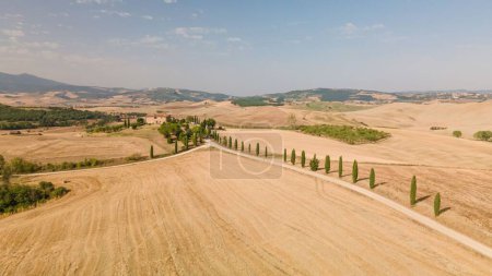 Photo for An aerial view of the Tuscany fields located in Italy seen on a beautiful sunny day - Royalty Free Image