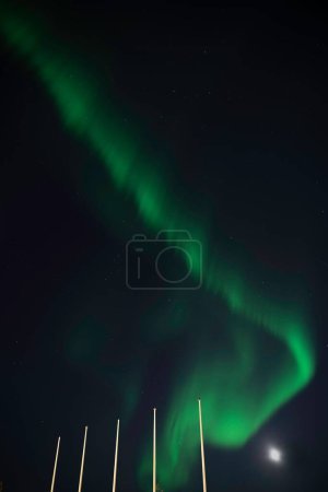 Foto de Un plano vertical de bajo ángulo de las luces boreales en un cielo nocturno estrellado - Imagen libre de derechos