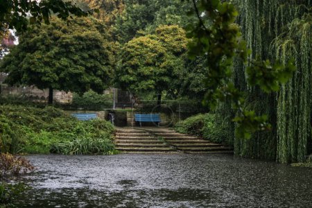 Téléchargez les photos : Un lac dans le parc un jour de pluie - en image libre de droit