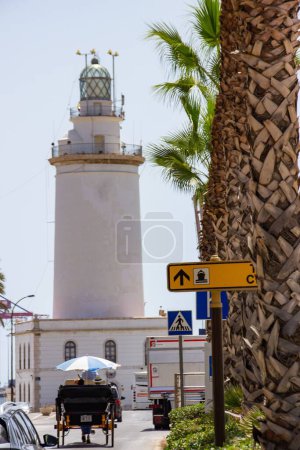 Téléchargez les photos : Sentier de palmiers au premier plan et calèche se dirigeant vers le phare de Malaga - en image libre de droit