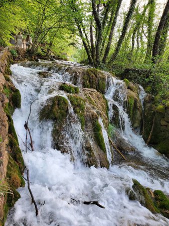 Foto de Un disparo vertical de una cascada en el Parque Nacional de los Lagos de Plitvice a la luz del día en Croacia - Imagen libre de derechos