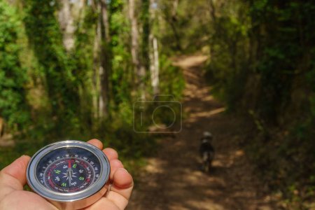 Téléchargez les photos : Homme s'orientant avec une boussole à la main avec un sentier forestier en arrière-plan - en image libre de droit