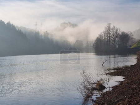 Téléchargez les photos : Un beau cliché d'une rivière entre forêts - en image libre de droit