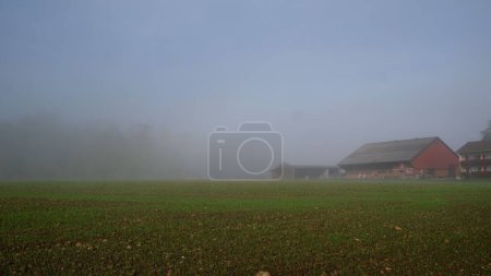 Téléchargez les photos : Un bâtiment de campagne se perd dans la brume par une journée brumeuse - en image libre de droit