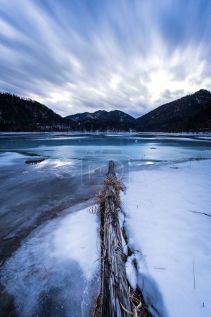 Photo for A vertical shot of a frozen river covered with a snow with trees in the background - Royalty Free Image