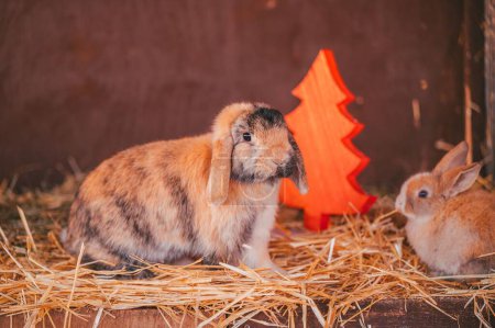 Téléchargez les photos : Les mignons lapins sur une paille et un petit arbre de Noël - en image libre de droit