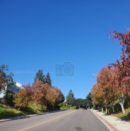 Téléchargez les photos : Une route de rue, entourée d'arbres en automne, et des maisons, par une journée ensoleillée, avec un ciel bleu au-dessus - en image libre de droit