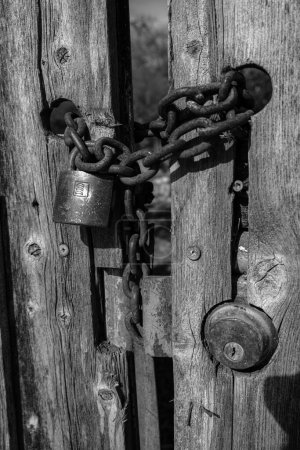 Photo for A grayscale vertical shot of chain and lock on old wooden gate - Royalty Free Image