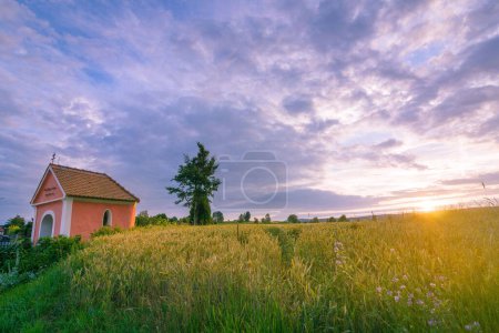 Téléchargez les photos : Une chapelle dans le champ de maïs avec le soleil qui brille par derrière. - en image libre de droit