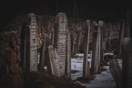 Téléchargez les photos : Une scène des pierres tombales avec le sol enneigé et des arbres nus pendant la journée - en image libre de droit