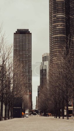 Photo for Downtown Chicago at Navy Pier path ,vertical shot - Royalty Free Image