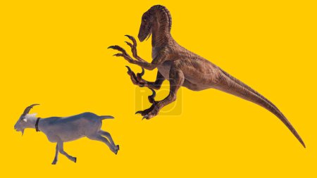 Téléchargez les photos : Un jouet velociraptor dinosaure chasse une chèvre sur un fond jaune - en image libre de droit