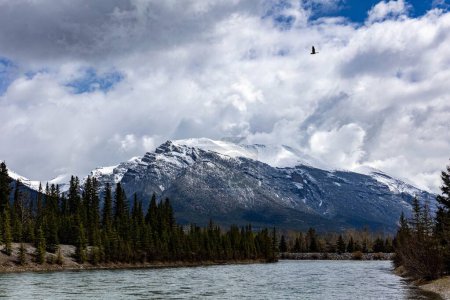 Téléchargez les photos : La vue sur la rivière Canmore dans les Rocheuses canadiennes fond de montagnes enneigées - en image libre de droit