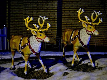 Photo for Two Christmas reindeer decorations outdoors - Royalty Free Image