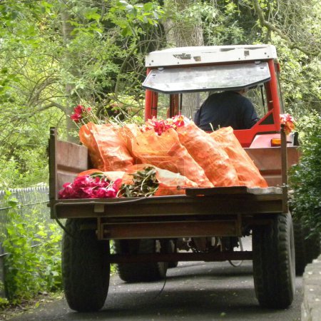 Téléchargez les photos : Une belle photo d'un tracteur garni de fleurs dans des sacs d'un jardin botanique à Dublin Irlande - en image libre de droit