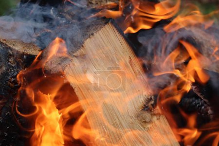 Foto de Un primer plano de troncos de madera ardiendo ferozmente y humo en el fuego - Imagen libre de derechos