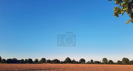 Téléchargez les photos : Belle vue sur les terres agricoles en été - en image libre de droit