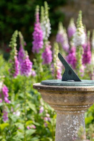 Photo for A vertical shot of a sundial in a garden - Royalty Free Image
