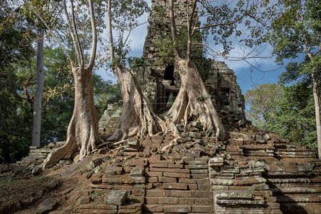Foto de Una hermosa toma del templo Prasat Preah Palilay en el complejo de templos Angkor Wat en Camboya - Imagen libre de derechos