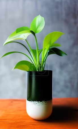 Photo for A fresh plant in a pot with bright green leaves placed on the table in the living room - Royalty Free Image
