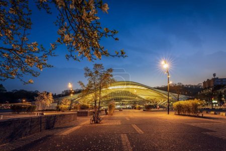A scenic view of the beautiful exterior of the Liege-Guillemins railway station in Liege, Belgium