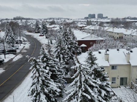 Foto de Una toma aérea de los suburbios de una ciudad y abetos junto a un camino cubierto de nieve - Imagen libre de derechos