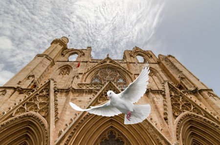 Foto de La paloma volando frente a la Gazimausa Lala Mustafa Pasa Cami - Desde otro ángulo - Imagen libre de derechos