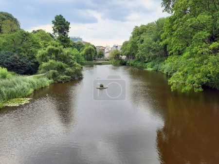 Téléchargez les photos : Printemps et belle rivière parmi les arbres - en image libre de droit