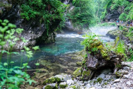 Téléchargez les photos : La gorge du Vintgar à Bled, Slovénie - en image libre de droit