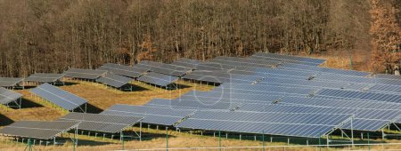 Foto de Una planta solar fotovoltaica en el campo. Paneles solares en el prado cerca del bosque. Concepto de energía verde - Imagen libre de derechos