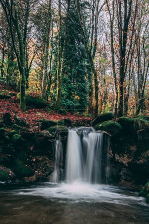 Photo for A vertical long exposure shot of a waterfall in the forest. - Royalty Free Image
