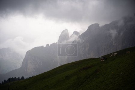 Téléchargez les photos : Une belle vue sur les Dolomites couvertes de brouillard en Italie - en image libre de droit