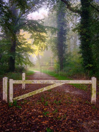 Photo for A vertical of the entrance of a plantation, botanical garden with big leafy trees and autumn foliage - Royalty Free Image