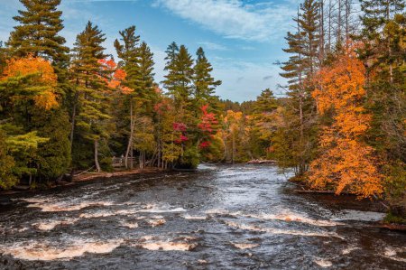 Photo for The scenic lower falls of Tahquamenon Falls state park in Michigan surrounded by autumn foliage - Royalty Free Image