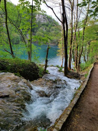 Foto de Una vista vertical del agua que fluye por la cascada en el parque nacional del lago Plitvice - Imagen libre de derechos