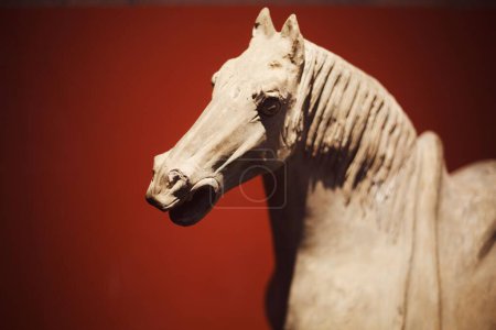 Téléchargez les photos : Un gros plan d'une relique sculptée en pierre d'un cheval de la dynastie Tang. Xi'an Museum, Chine. - en image libre de droit