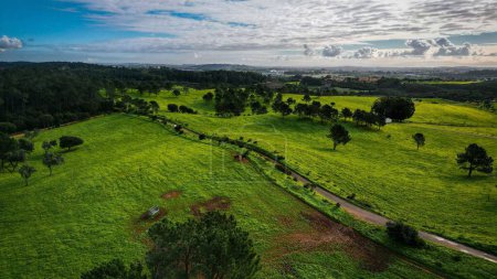 Téléchargez les photos : Un plan en angle élevé de beaux champs verts dans une zone rurale avec un ciel bleu vif et des nuages - en image libre de droit